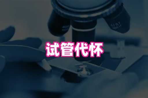 nub孕网 3